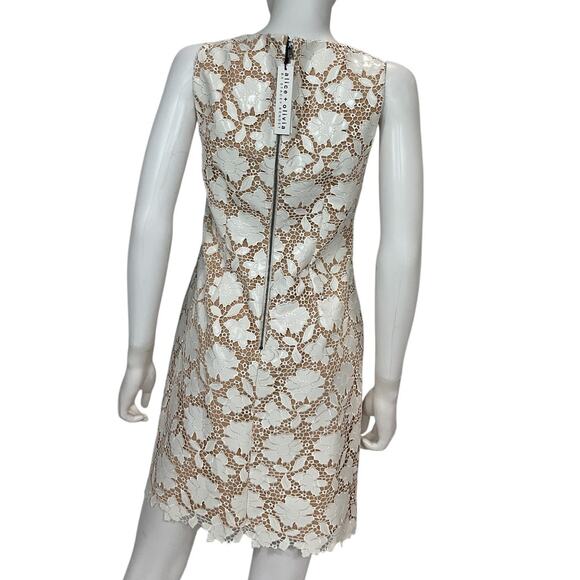 Olivia Lace Off White Clyde Shift Dress Size 4 NWT - Picture 3 of 5